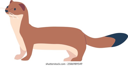 Arctic ferret rodent animal vector illustration