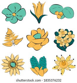 Arctic flowers and plants flat hand drawn vector illustrations. Northern plants sketch color clipart's for packaging filling