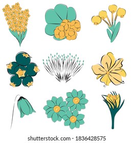 Flores y plantas árticas ilustraciones de vectores dibujadas a mano plana. Clásicos de colores de bosquejo de plantas del norte