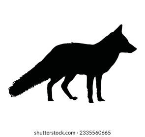 Arctic Fox Black Silhouette Vector Desain