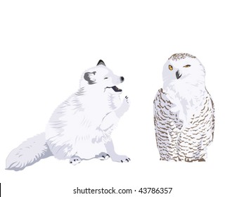 Arctic Fox Kit And Snowy Owl