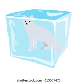 Arctic fox, seal, icon, logo, symbol.