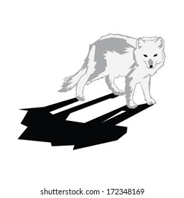 Arctic Fox Standing