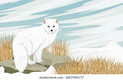 Arctic fox standing on a rock on a snowy northern plain. Realistic vector landscape