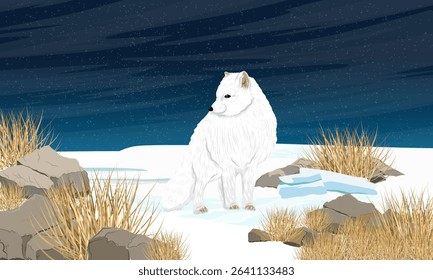 Arctic fox standing on a snowy northern plain on a winter night. Realistic vector landscape