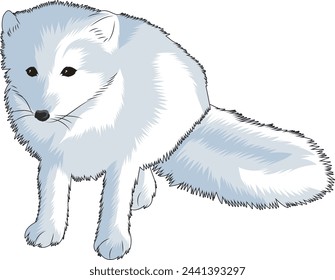 arctic fox in vector illustrationn