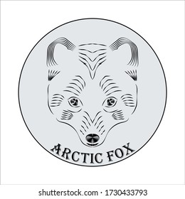 Arctic fox vector logo on a gray background.