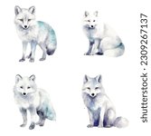 Arctic Fox watercolor paint collection