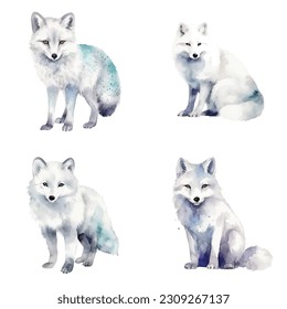 Arctic Fox watercolor paint collection