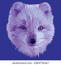  Arctic Fox, wild white Fox, vector illustration.