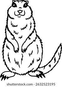 Arctic Ground Squirrel Outline Line Art Vector Cute Illustration