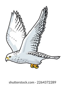 Arctic Gyrfalcon, the largest falcon birds of prey