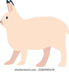 Arctic hare animal vector illustration