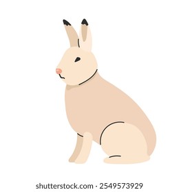 Arctic hare icon clipart avatar logotype isolated illustration