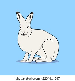 Arktischer Hasen (Lepus arcticus), Vektorgrafik, Wildlife_einzeln auf Blau