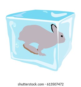 Arctic hare, seal, icon, logo, symbol.