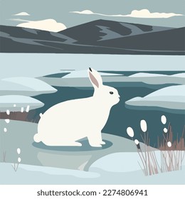 Arctic hare in snowy tundra. Arctic animals in natural habitat. Flat vector illustration concept