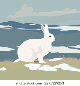 Arctic hare in snowy tundra. Arctic animals in natural habitat. Flat vector illustration concept