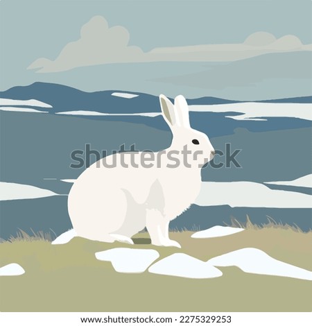 Arctic Hare Drawing | Free download on ClipArtMag