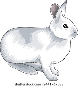 arctic hare in vector illustration