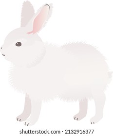 Ilustración vectorial de liebre ártica. Conejo, liebre y conejo en la serie mundial.