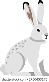 Arctic Hare Vector Illustration - Wild Rabbit Isolated on White Background