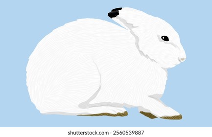 Arctic hares side view. Wild animal of the Arctic tundra. Realistic vector animal