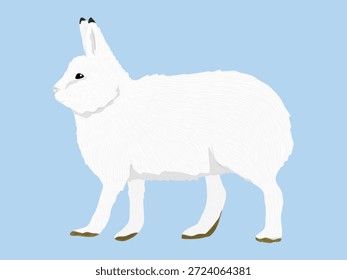 Liebres árticas de pie, vista lateral. Animal salvaje de la tundra ártica. Animal de Vector realista.
