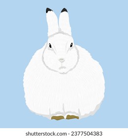Arctic hares. Wild animal of the Arctic tundra. Realistic vector isolated rabbit