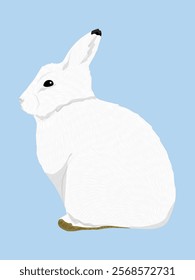 Arctic hares. Wild animal of the Arctic tundra. Realistic vector animal