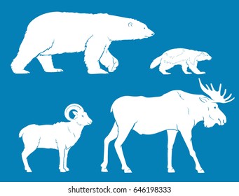 Arctic Land Animals Collection