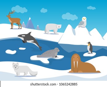 Arctic landscape with different polar animals. Vector animal arctic, polar landscape with penguin and bear illustration