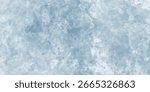 An arctic landscape reduced to delicate icy details

