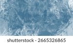 An arctic landscape reduced to delicate icy details

