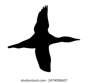 Arctic Loon vector illustration on white background.