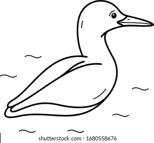 Arctic Loon. Vector outline icon.