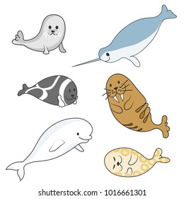 Arctic marine mammals set (beluga whale, narwhal, ringed seal, ribbon seal, bearded seal, walrus). Vector cartoon color image. 