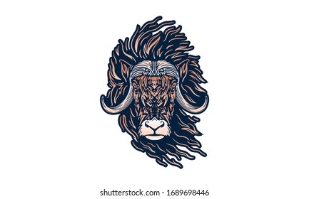 Arctic Muskox on white background