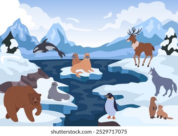 Arctic nature. Antarctica landscape. Polar bear. Orca whale. Seal on northern ice. Antarctic scenery. Reindeer and wolf. Wild marine animals on sea floe. Winter background. Vector frost tidy wildlife