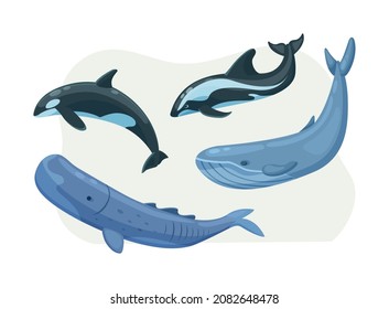 Arctic nautical mammals floating set. Polar habitat sea animals dolphin and whale with tail and fins. Arctica fauna wild animals. Freeze wildlife underwater swimming characters cartoon vector