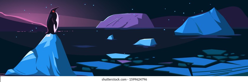 Arctic night. Northen landscape with icebergs and penguin. Vector illustration