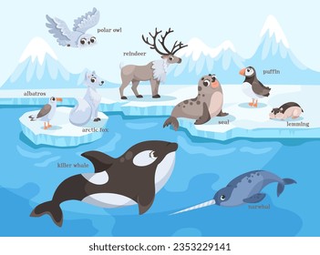 Arctic and North Animal on Ice Plate and Swimming Vector Illustration