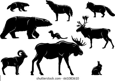 Arctic North Land Animals, shadowed illustration