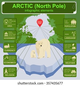 Arctic (North Pole) infographics, statistical data, sights. Vector illustration