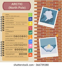 Arctic (North Pole) infographics, statistical data, sights. Vector illustration