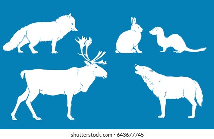 Arctic North Pole Land Animals