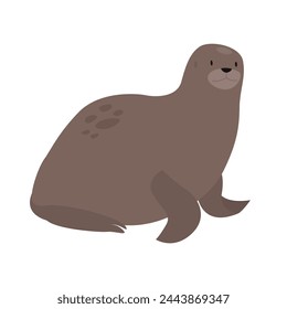 Arctic ocean seal. Arctic and antarctic animals, snow sea fauna cartoon vector illustration