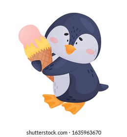 Arctic Penguin with Black and White Belly Isolated on White Background Vector Illustration