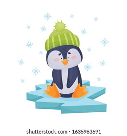 Arctic Penguin with Black and White Belly Isolated on White Background Vector Illustration