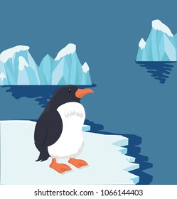 Arctic Penguin on ice floe